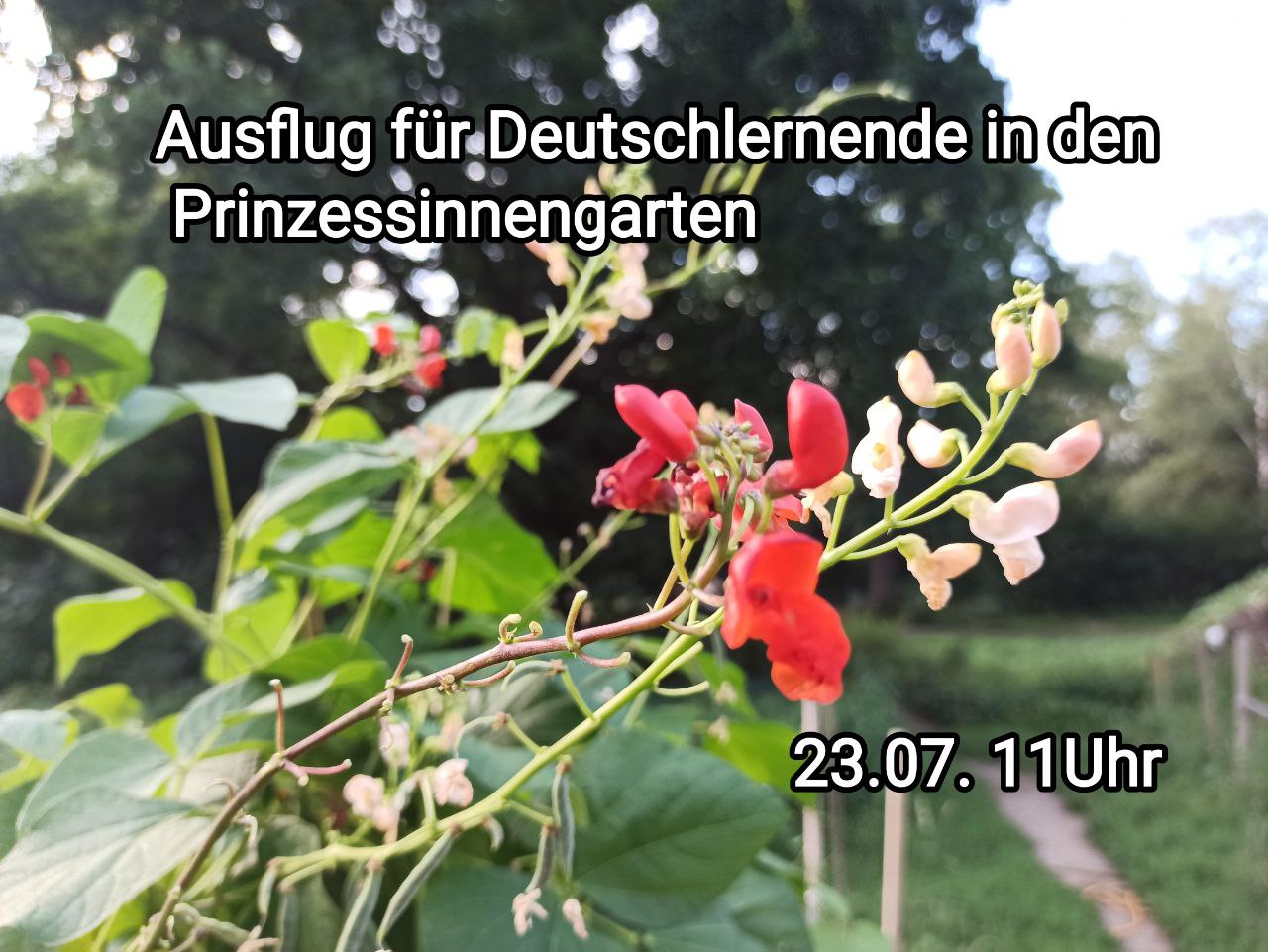 Ausflug in den Prinzessinnengarten für Deutschlernende