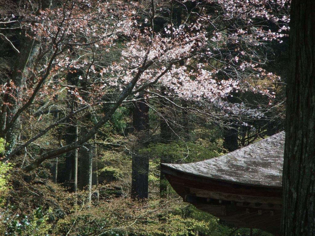 Online-Vortrag: Eine Reise nach Kyoto